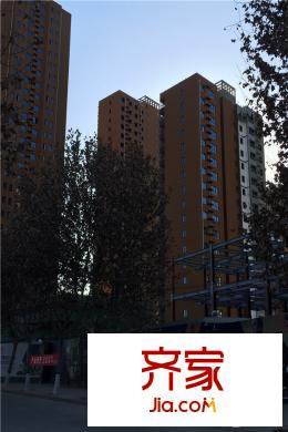 河風(fēng)雅苑項(xiàng)目施工進(jìn)度（2015-12-24）