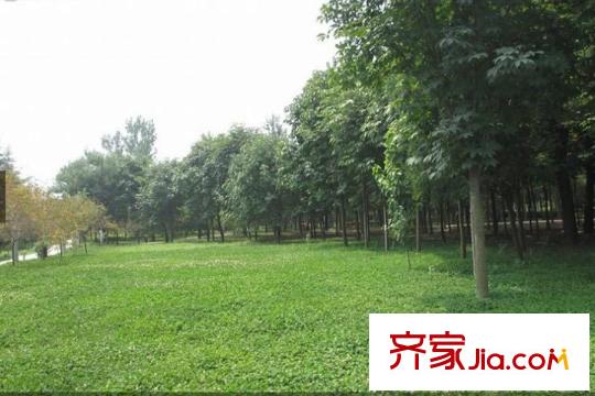 空港?綠地新城周邊灃河公園（2015.12）