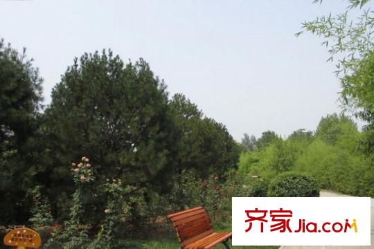 空港?綠地新城周邊灃河公園（2015.12）