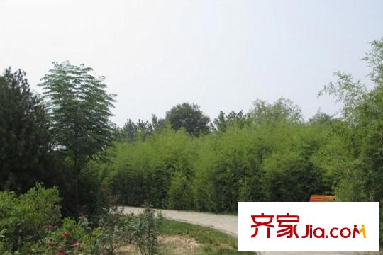 空港?綠地新城周邊灃河公園（2015.12）