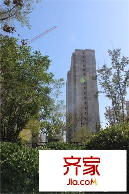 秦嶺北麓一期施工現(xiàn)場（2015.10.10）