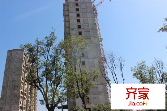 秦嶺北麓