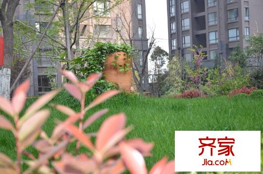 卡布奇諾國際社區(qū)社區(qū)實(shí)景園林（2015.4.15）