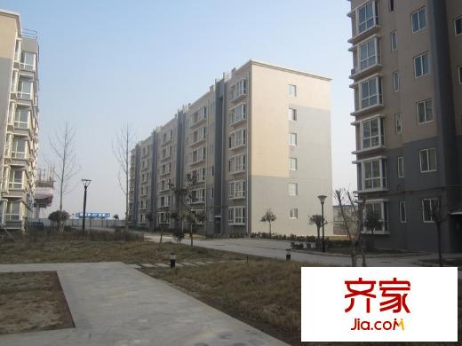 麗灣島施工進度（2013.1.23）