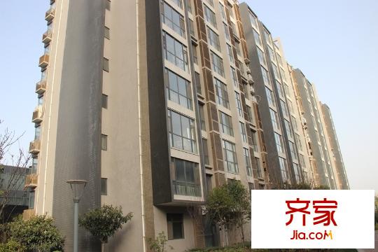泉上花間11號(hào)樓現(xiàn)房實(shí)景（2015-12-02）