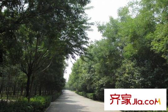 空港?綠地新城周邊灃河公園（2015.12）