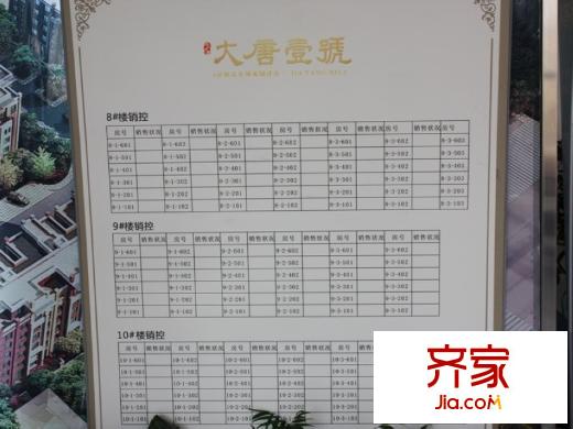 大唐壹平方米（2013年1月）