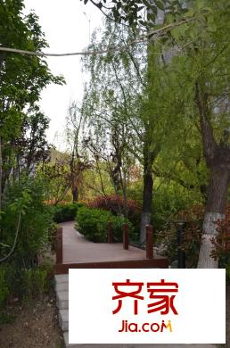 卡布奇諾國(guó)際社區(qū)社區(qū)實(shí)景園林（2015.4.15）