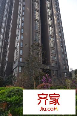 卡布奇諾國(guó)際社區(qū)樓棟實(shí)景（2015.4.15）