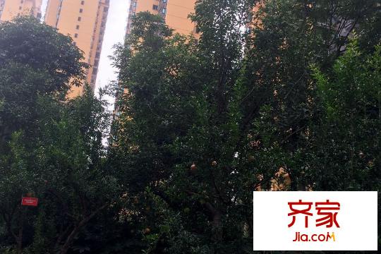 西安?恒大御景項(xiàng)目（2015.8.20）