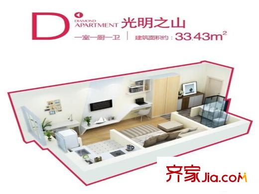 東御蘭汀4號(hào)樓D戶型 1室1廳1衛(wèi)1廚