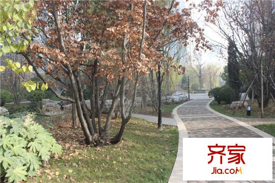 建邦華庭小區(qū)園林景觀（2015-12-02）
