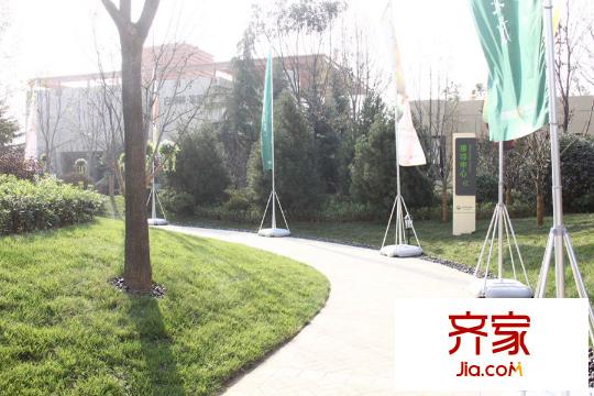 白樺林?家愿售樓部（2015-12-23）