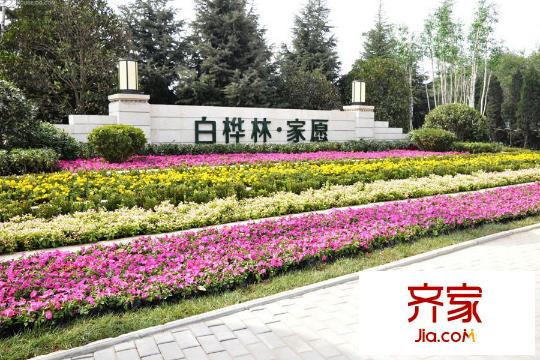 白樺林?家愿售樓部（2015-12-23）