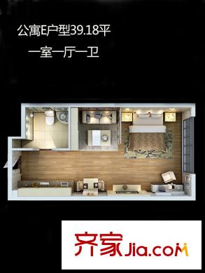 朱雀云天1號樓E戶型 1室1廳1衛(wèi)1廚