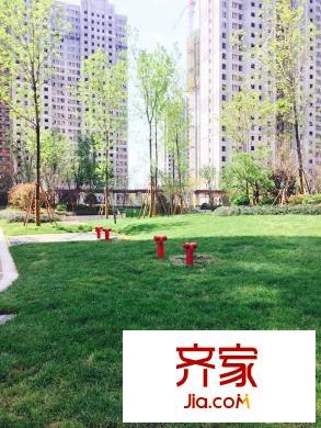 金地?翔悅天下小區(qū)實(shí)景（2015-4-22）