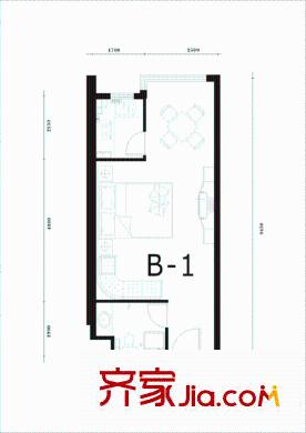 雙威理想城二期50平戶型B-1 1室1廳1衛(wèi)1廚