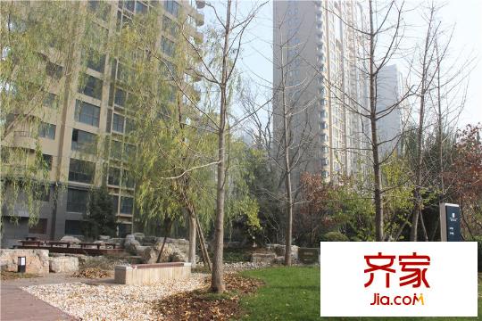 建邦華庭小區(qū)園林景觀（2015-12-02）