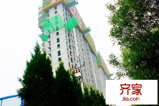 白樺林?家愿施工進(jìn)度（2015-12-3）