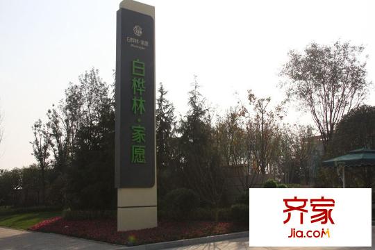 白樺林?家愿售樓部（2015-12-23）