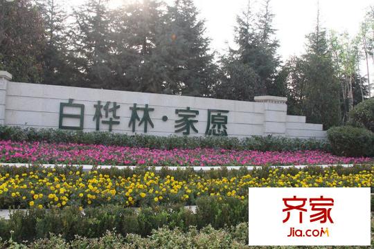 白樺林?家愿售樓部（2015-12-23）