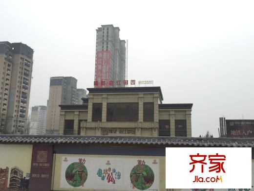 曲江御園（2015.3.27）