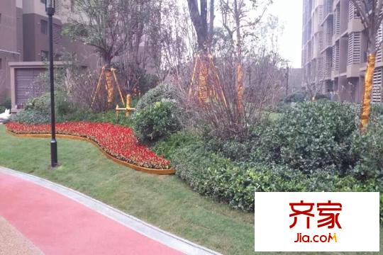 萬科?金色悅城已入住小區(qū)園林實景(2015.10)