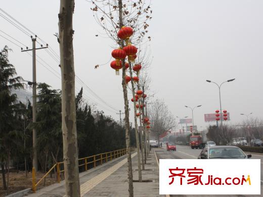 陽光臺365周邊道路綠化情況