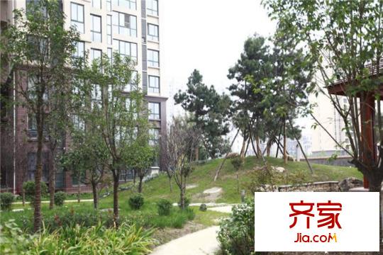 朱雀錦園小區(qū)內(nèi)部實景（2015-12-3）