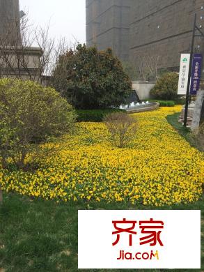雅居樂?御賓府小區(qū)大門實(shí)景（2015.3.27）