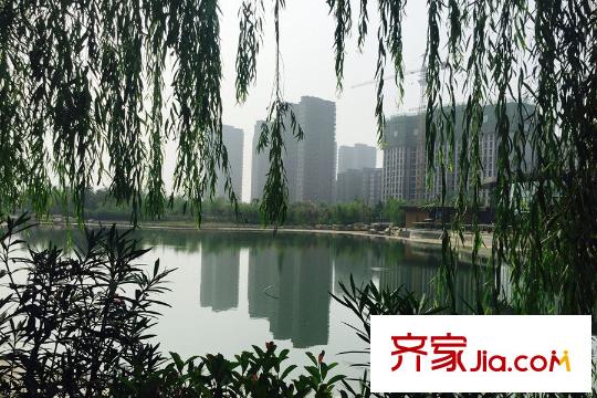 英郡年華國際社區(qū)周邊配套―公園中湖