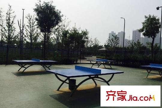 英郡年華國際社區(qū)周邊配套―星河運(yùn)動(dòng)公園