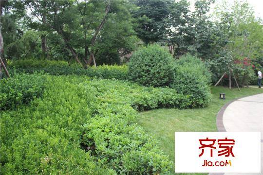 龍記國會山售樓部（2015.06）