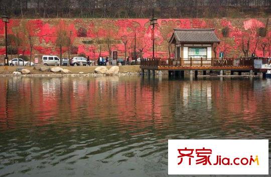 保利?曲江春天里南湖美景