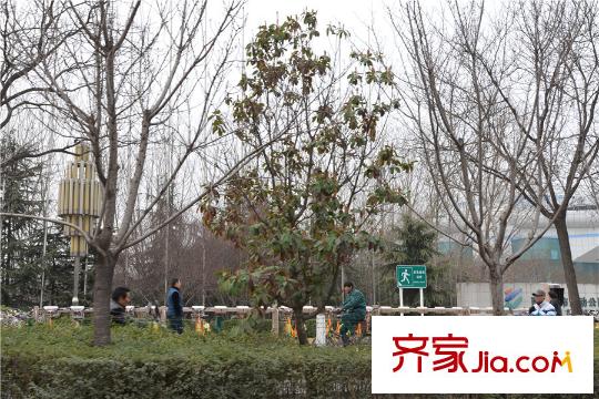 鼎正?大都城周邊--運(yùn)動(dòng)公園