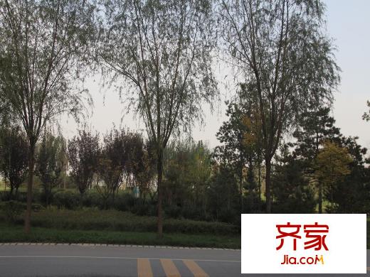 普華?華岸小區(qū)外景（2015-12-1）