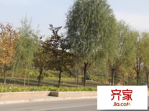 普華?華岸小區(qū)外景（2015-12-1）