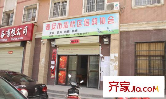 普華?華岸周邊配套-信鴿協(xié)會