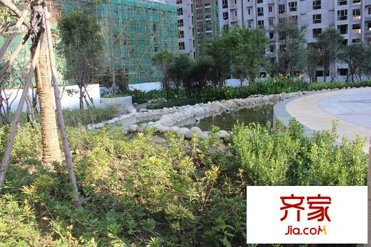 恒基碧翠錦華一期園林景觀（20150922）