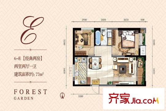 林邑6-E戶型圖 2室2廳1衛(wèi)1廚