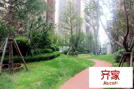 萬(wàn)科?金色悅城一期小區(qū)園林實(shí)景（2015.9.20）