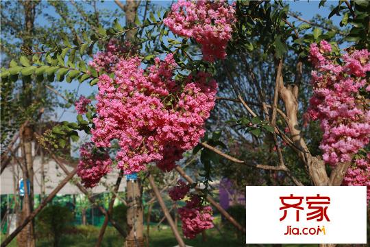 白鹿溪谷小區(qū)（攝于2015.8.5）
