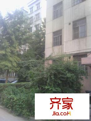 98中家屬院