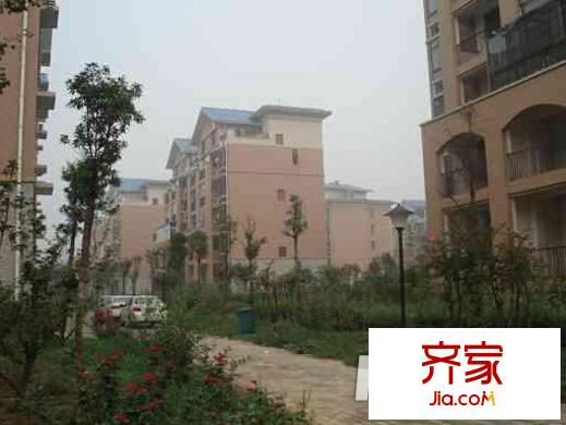 中原小區(qū)外景圖 