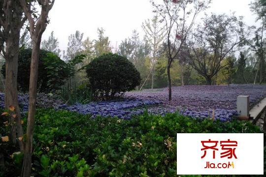 合能十里錦繡園林（2014.11.4）
