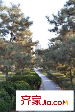 新界（長(zhǎng)安）配套圖周邊永陽公園