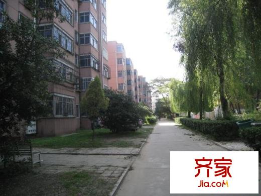 綠化處家屬院外景圖 