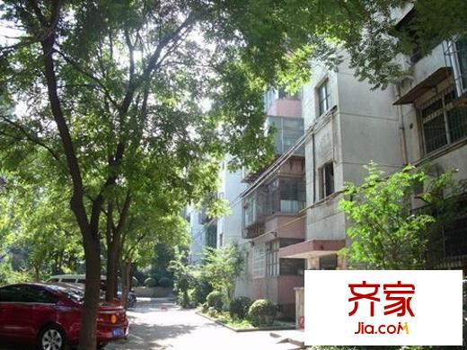 綠化處家屬院外景圖 