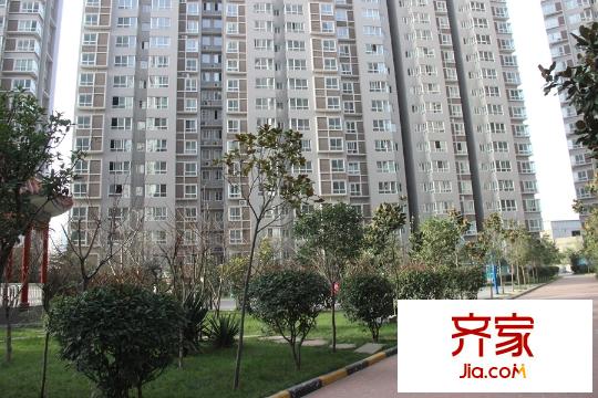 金宇藍(lán)苑6號(hào)樓現(xiàn)房實(shí)景（2015-12-02）