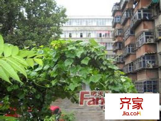 房管局家屬院外景圖 